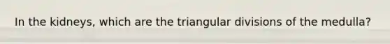 In the kidneys, which are the triangular divisions of the medulla?