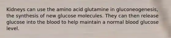 Kidneys can use the amino acid glutamine in gluconeogenesis, the synthesis of new glucose molecules. They can then release glucose into the blood to help maintain a normal blood glucose level.