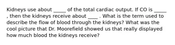 Kidneys use about _____ of the total cardiac output. If CO is _____ , then the kidneys receive about ____ . What is the term used to describe the flow of blood through the kidneys? What was the cool picture that Dr. Moorefield showed us that really displayed how much blood the kidneys receive?