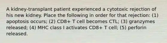 A kidney-transplant patient experienced a cytotoxic rejection of his new kidney. Place the following in order for that rejection: (1) apoptosis occurs; (2) CD8+ T cell becomes CTL; (3) granzymes released; (4) MHC class I activates CD8+ T cell; (5) perforin released.