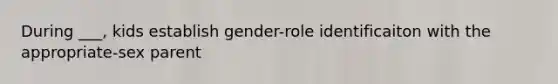 During ___, kids establish gender-role identificaiton with the appropriate-sex parent