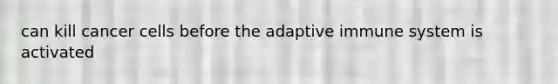 can kill cancer cells before the adaptive immune system is activated