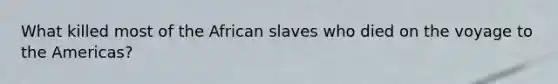 What killed most of the African slaves who died on the voyage to the Americas?