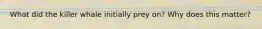 What did the killer whale initially prey on? Why does this matter?