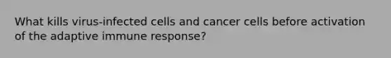 What kills virus-infected cells and cancer cells before activation of the adaptive immune response?