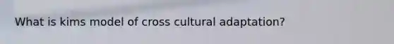 What is kims model of cross cultural adaptation?