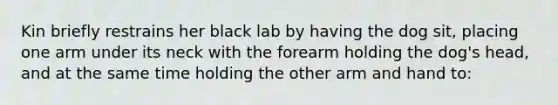 Kin briefly restrains her black lab by having the dog sit, placing one arm under its neck with the forearm holding the dog's head, and at the same time holding the other arm and hand to: