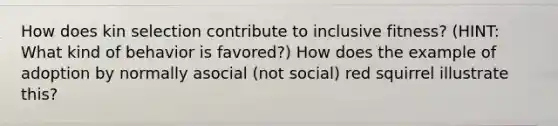 How does kin selection contribute to inclusive fitness? (HINT: What kind of behavior is favored?) How does the example of adoption by normally asocial (not social) red squirrel illustrate this?