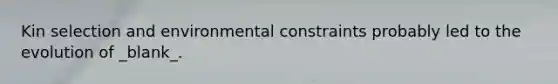 Kin selection and environmental constraints probably led to the evolution of _blank​_.