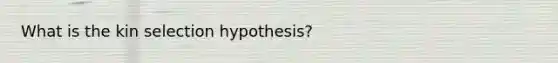 What is the kin selection hypothesis?