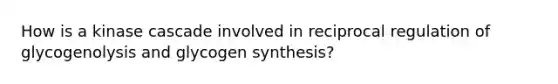 How is a kinase cascade involved in reciprocal regulation of glycogenolysis and glycogen synthesis?