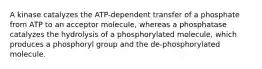 A kinase catalyzes the ATP-dependent transfer of a phosphate from ATP to an acceptor molecule, whereas a phosphatase catalyzes the hydrolysis of a phosphorylated molecule, which produces a phosphoryl group and the de-phosphorylated molecule.