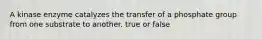 A kinase enzyme catalyzes the transfer of a phosphate group from one substrate to another. true or false