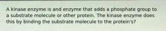 A kinase enzyme is and enzyme that adds a phosphate group to a substrate molecule or other protein. The kinase enzyme does this by binding the substrate molecule to the protein's?