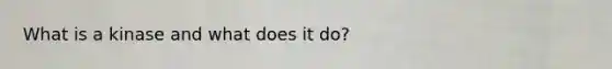 What is a kinase and what does it do?