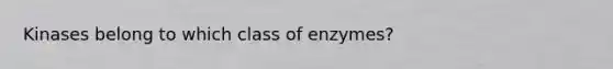 Kinases belong to which class of enzymes?