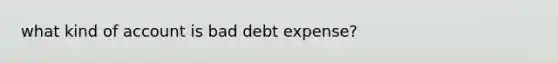 what kind of account is bad debt expense?