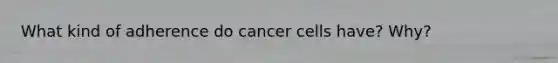 What kind of adherence do cancer cells have? Why?