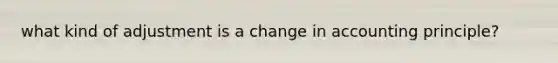 what kind of adjustment is a change in accounting principle?