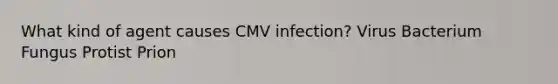 What kind of agent causes CMV infection? Virus Bacterium Fungus Protist Prion