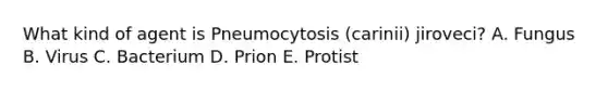 What kind of agent is Pneumocytosis (carinii) jiroveci? A. Fungus B. Virus C. Bacterium D. Prion E. Protist