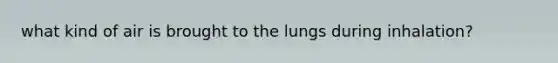 what kind of air is brought to the lungs during inhalation?