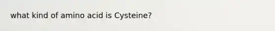 what kind of amino acid is Cysteine?