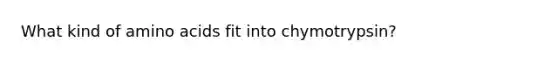 What kind of amino acids fit into chymotrypsin?