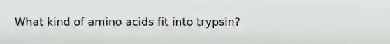 What kind of amino acids fit into trypsin?