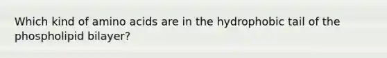 Which kind of amino acids are in the hydrophobic tail of the phospholipid bilayer?