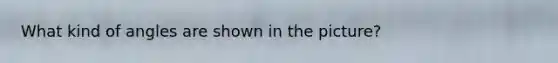 What kind of angles are shown in the picture?