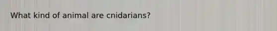 What kind of animal are cnidarians?