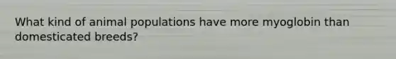 What kind of animal populations have more myoglobin than domesticated breeds?