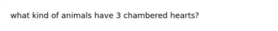 what kind of animals have 3 chambered hearts?