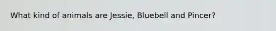 What kind of animals are Jessie, Bluebell and Pincer?