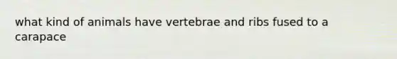 what kind of animals have vertebrae and ribs fused to a carapace