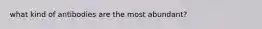 what kind of antibodies are the most abundant?