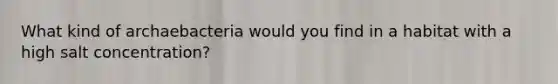 What kind of archaebacteria would you find in a habitat with a high salt concentration?