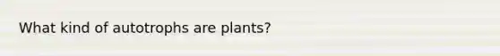 What kind of autotrophs are plants?