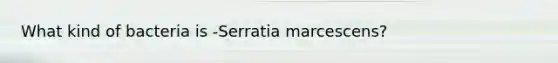 What kind of bacteria is -Serratia marcescens?