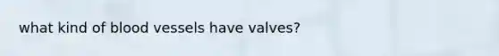 what kind of blood vessels have valves?