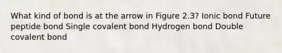 What kind of bond is at the arrow in Figure 2.3? Ionic bond Future peptide bond Single covalent bond Hydrogen bond Double covalent bond