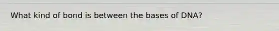 What kind of bond is between the bases of DNA?