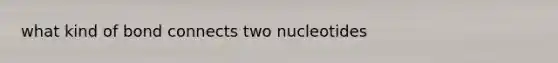 what kind of bond connects two nucleotides