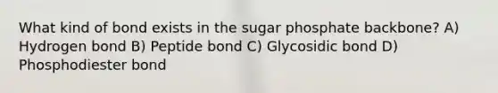 What kind of bond exists in the sugar phosphate backbone? A) Hydrogen bond B) Peptide bond C) Glycosidic bond D) Phosphodiester bond