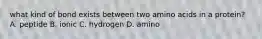 what kind of bond exists between two amino acids in a protein? A. peptide B. ionic C. hydrogen D. amino