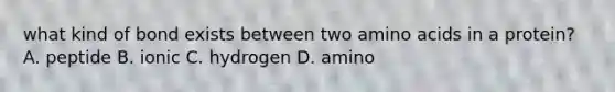 what kind of bond exists between two amino acids in a protein? A. peptide B. ionic C. hydrogen D. amino