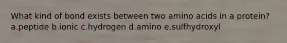 What kind of bond exists between two amino acids in a protein?a.peptide b.ionic c.hydrogen d.amino e.sulfhydroxyl