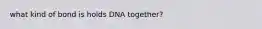 what kind of bond is holds DNA together?