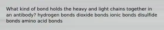 What kind of bond holds the heavy and light chains together in an antibody? hydrogen bonds dioxide bonds ionic bonds disulfide bonds amino acid bonds